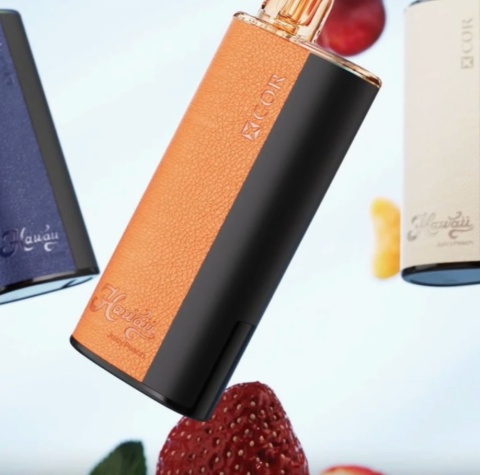 Xcor Hawaii Pro w dłoni, ergonomiczny e-papieros, smukły vape, przenośny e-papieros, dyskretny vaping - Hawaii Xcor 12000 Mr Blue