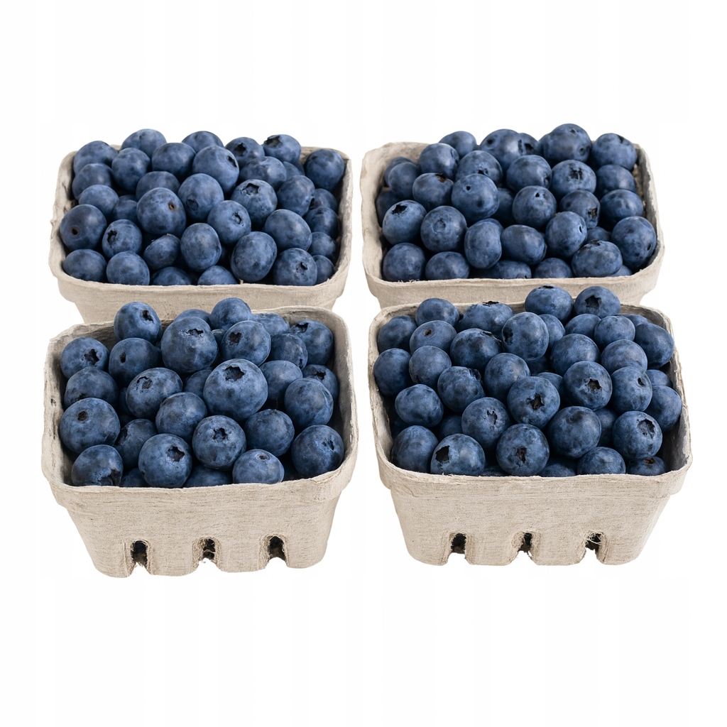 Dojrzałe jagody, mrożone jagody, koolada efekt, świeża jagoda z lodem, arktyczne orzeźwienie - Jagoda leśna mrożone owoce premium 5kg • Cena, Opinie - Allegro