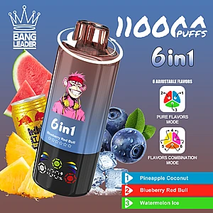 smak Blueberry Coconut, smak Grape Ice, jagoda kokos winogrono lód, egzotyczne smaki vape - Bang Leader 110K Jednorazowy Vape | 110 000 zaciągnięć ...